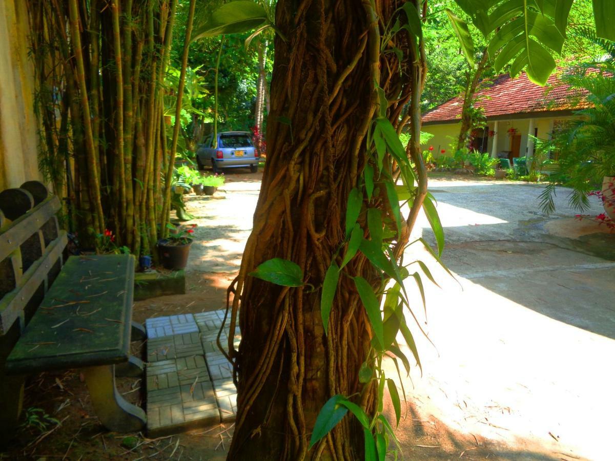Nooit Gedacht Holiday Resort Унаватуна Экстерьер фото